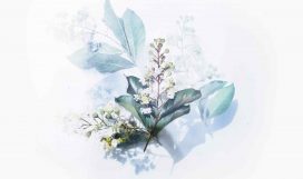 evie-shaffer-501641-unsplash evie-shaffer-501641-unsplash