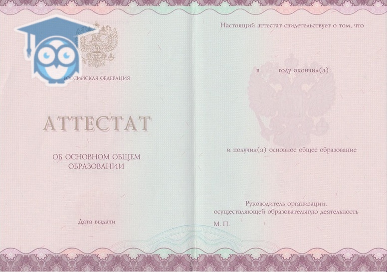 Как в Петербурге купить сертификаты и диплом полное руководство Как в Петербурге купить сертификаты и диплом полное руководство