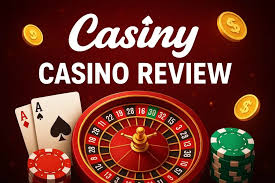 Everything You Need to Know About Your Casiny Account 55